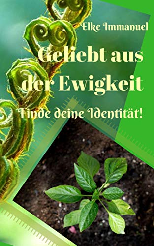 Geliebt aus der Ewigkeit: Finde deine Identität...