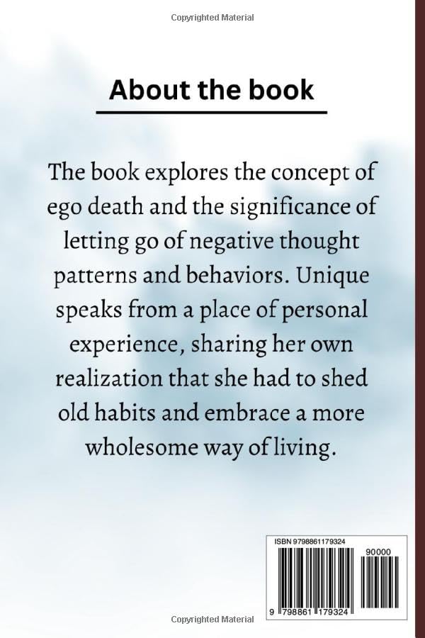 Vista 2 de Journey of the soul Uniques Awakening