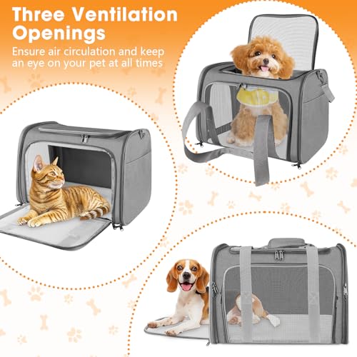 Transporttasche Katze und Hund, 45x30x30 cm Transportbox Katze, Katzentransporttasche Faltbar und Atmungsaktiv, Autoreise Transportbox für Katze und Mittelgroße Hund
