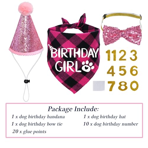 50% Off Dog Birthday Party Set - Hat, Bandana & Bow Tie - Image 3