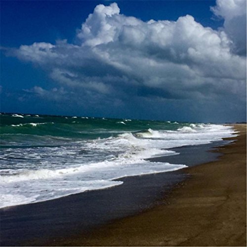 Kara Coats feat. Allie Ray