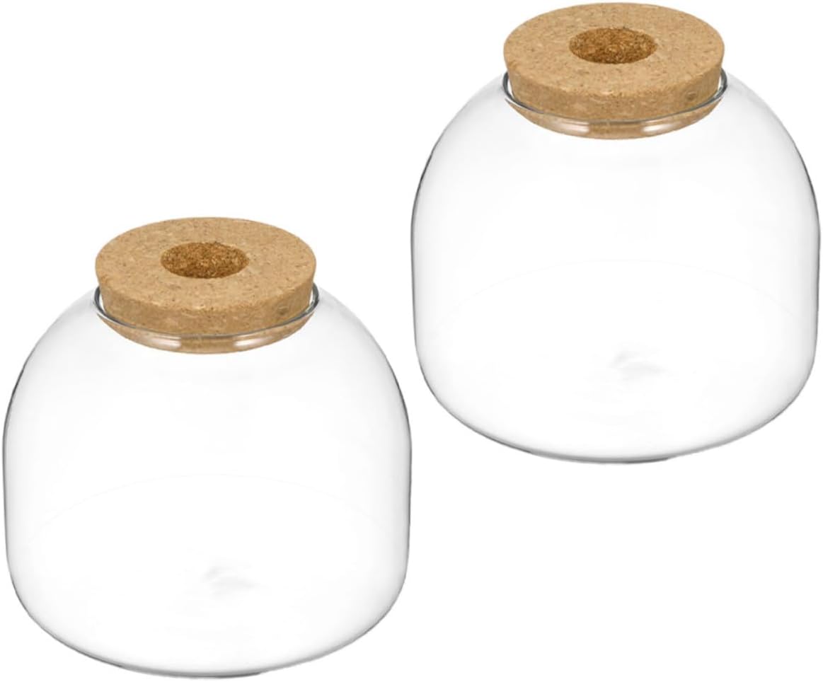 Garneck 2pcs Landscape Moss Ecosystem Glass Bottle with Cork Stopper for Home Decor Planting and Hydroponic Use Space-Saving Terrarium Jar for Unique Indoor Gardens