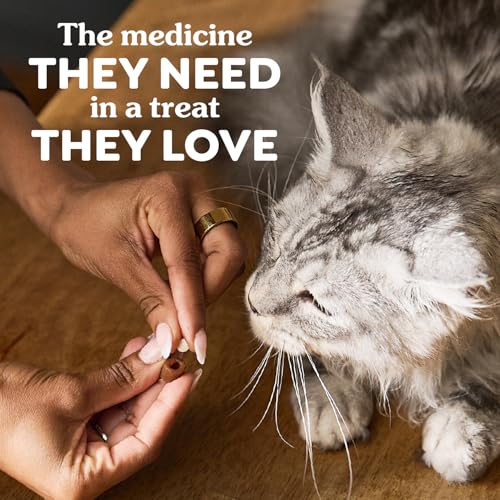 Greenies Feline Pill Pockets Soft Cat Treats, Salmon Flavor, 85 Count - image 7