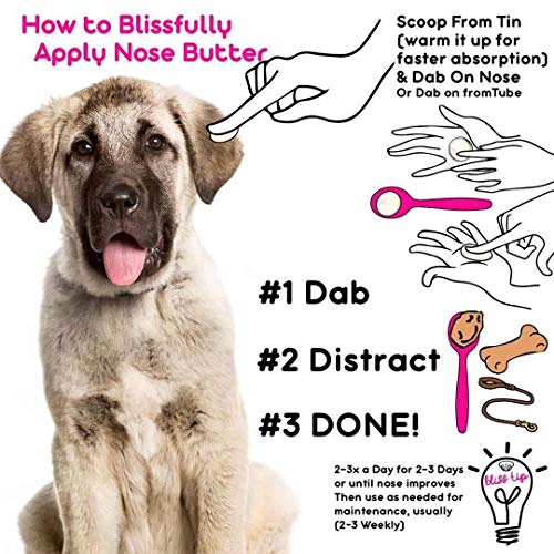 Image of The Blissful Dog Anatolian Shepherd Nose Butter, 8OZ