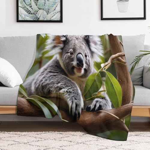 Manta de franela Koala cálida para tardes de sofá y película 3
