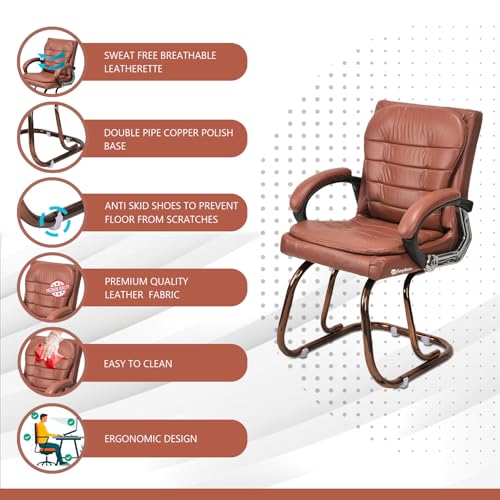 Image of GOYALSON Deluxe Cushioned Office Home Study Chair with Chrome Durable Frame and Cushioned seat Back (2, Brown, Copper Coated Double Pipe Frame)