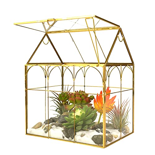 Buy Plant glass terrarium In Pakistan Plant glass terrarium Price