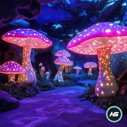 Hypersonic Soundscapes