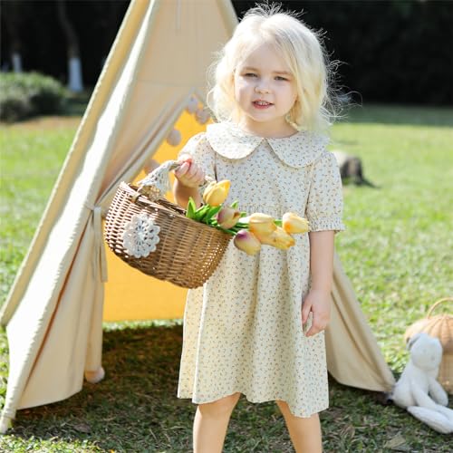 Peter Pan Dress Girls Summer Puff Sleeved Girls Floral Dress Back Wood Buttons Boutique Girls Casual Dress2