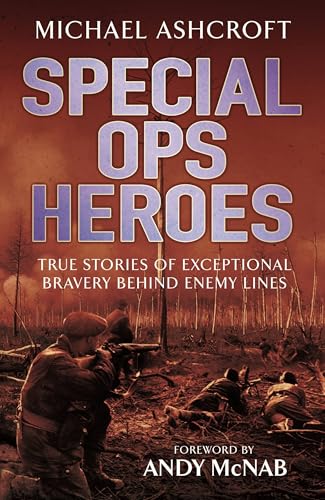 Special Ops Heroes view 2
