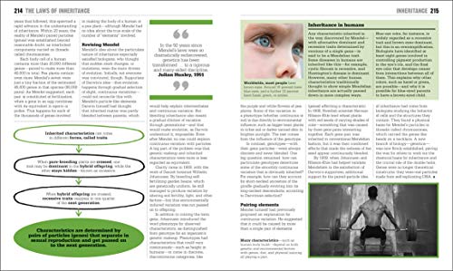 The Biology Book: Big Ideas Simply Explained (DK Big Ideas) - Image 11