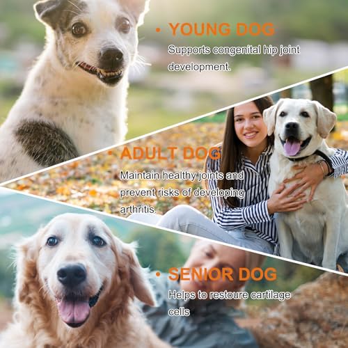 Joint Supplement for Dogs, Dog Joint Supplements with Glucosamine, Chondroitin, Hip & Joints Care for Dogs All Breeds Ages, 60 Softchews - Image 4