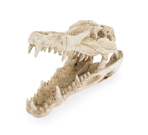 Happet realistyczna czaszka krokodyla ozdoba do terrarium i akwarium – dekoracja prehistoryczna, kryjówka dla ryb i gadów, żywica, 25×11,5×15,5 cm