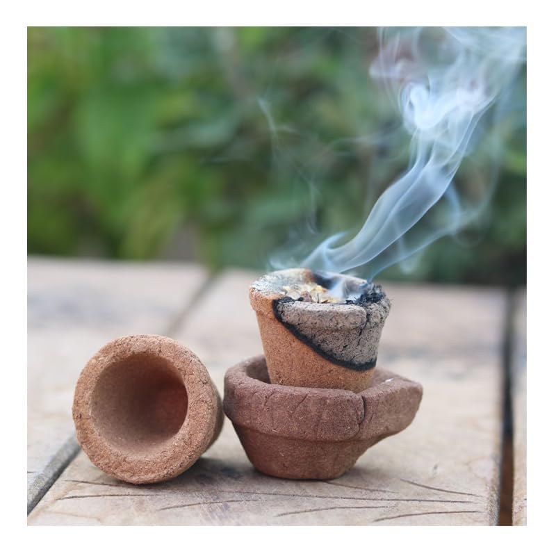 Vedic Yantram Vastu Suddhi Cow Dung Havan Cups for Pooja/Sambrani Cups (27pc) & Special Incense Powder as Dhuna, Loban, Neem, Guggul, Bhimseni Camphor/Dhoop Cups (B0CB8Y3CTR) Amazon Price History, Amazon Price Tracker