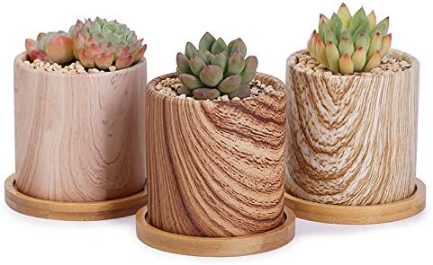 Succulent Plant Pots - 3 Inch Small Ceramic Cylindrical Planter Containers for Flowers or Cactus with Drainage Hole and Bamboo Tray - Wood Grain Set of 3