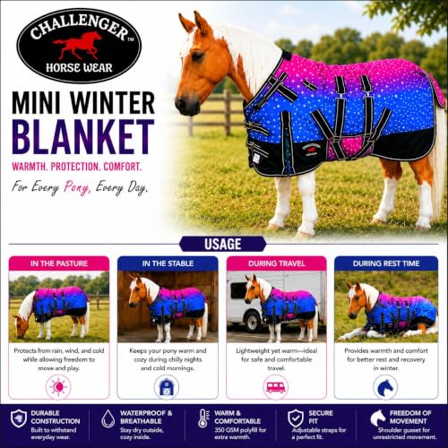 Image of CHALLENGER 1200D Foal Winter Blanket Miniature Pony Donkey Bellyband Turquoise Rustic
