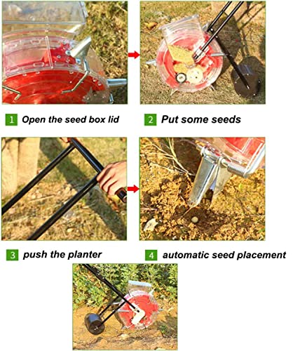 Sembradora manual de precisión para césped y jardín miniatura 5