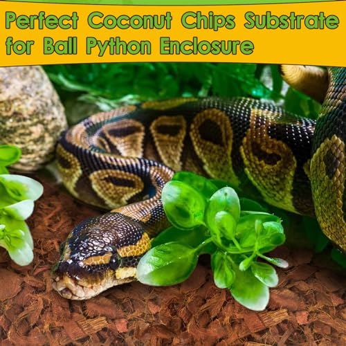 Halatool 2Pack Natural Coconut Chips Substrate 2.2Lb Coconut Husk For Reptiles Bedding Coco Husk Terrarium Substrate For Ball Python Frog Snake Gecko Hermit Crab Tortoise thumb #6