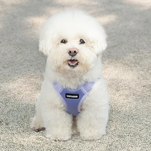 Best Pet Supplies Voyager verstellbares Hundegeschirr, atmungsaktiv, kein Ziehen, Geschirr für kleine, mittelgroße und große Hunde, strapazierfähiges Geschirr, einfacher Einstieg in reflektierende