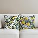 Secret Santa Gifts, 2 PCs Italy Lemon Throw Pillow Covers 18x18, Lemon Decor Italian Gifts Pillow Cases Decorative Pillow Protectors Living Room Bedroom Office Home Decor for Cushion Car Bed