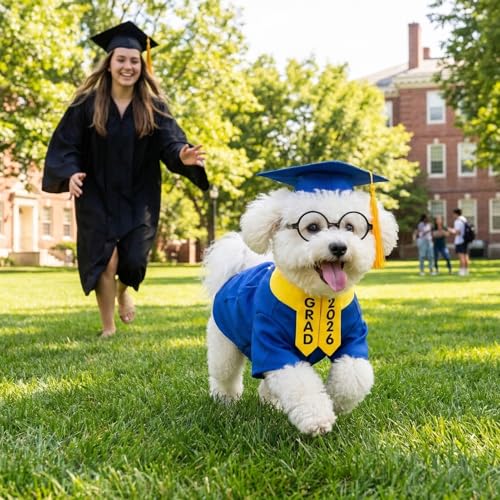 Disfraz de graduación para perro, tamaño mediano azul miniatura 7