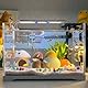 XUIIOSOOKP 880g(Ca. 200 Stück) Muggelsteine Bunte Glassteine, Glasnuggets Bunt, Mosaiksteine zum Basteln, Ziersteine, Dekosteine für Vasenfüller DIY-Projekte Aquarium Deko Steine(15-20mm Farbige)