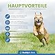 BUDDY’S Best 50ml Gelenk- & Knochenschutz für Hunde - Schmerzmittel für Hunde - Gelenke Hund - Schmerzmittel Hund Gelenke - Joint Care Hund
