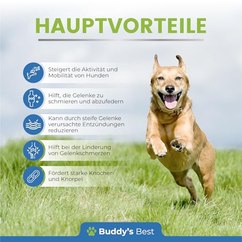 BUDDY'S Best 50ml Gelenk- & Knochenschutz für Hunde - Schmerzmittel für Hunde - Gelenke Hund - Schmerzmittel Hund Gelenke - Joint Care Hund