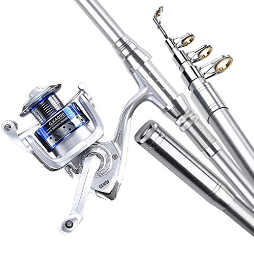 ނ ނ XeXX`[ނ X[p[n[h^ނƂƃ[Zbg i[ނ ނ Cނ蓹(TCY:2.7m)