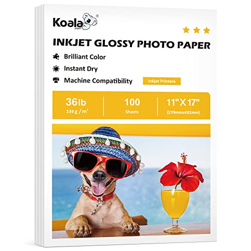 Top 10 Best 11X17 Printer For Autocad : Reviews &amp; Buying Guide - Katynel