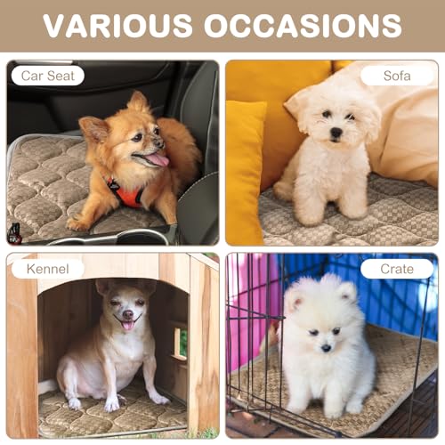 Tujoe Pacote com 4 camas autoaquecidas para gatos 40,6 x 50,8 cm, tapete térmico quente para animais