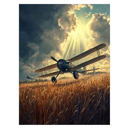 DIY  G s@ hG |Lbg 80 x 60cm G CeA Lbg rbOTCY TCY q S yCgoCio[  Painting by Numbers KpΏۂĎ Ǐ Εa