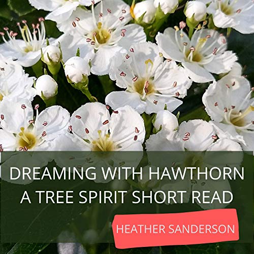 Dreaming with Hawthorn by Heather Sanderson episode artwork