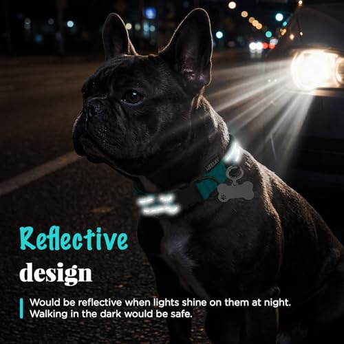 Collar Reflectante para Perro con Doble D y Etiqueta ID, Nylon Ajustable miniatura 4