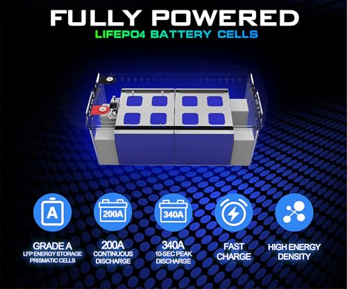Image of 12 Volt 300Ah Lithium Golf Cart Battery, 12V LiFePO4 Battery, 200A BMS, 4000+ Cycles, 3.84 kWh Energy, 2.56kW Max Power Output, Perfect for Off-Grid, Home Storage, RV, Marine