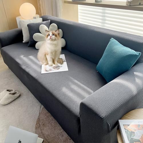 KAMIMORI \t@[Jo[ H 2l| It  Xgb` _炩 t@[یJo[ L΍ It n _炩 e Lh~ Lkf Lт ~ ho h~ \t@[xbh Jo[ I[V[Y 􂦂