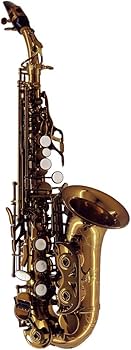 Amazon | Chateau Handmade Series カーブドソプラノサックス レッド