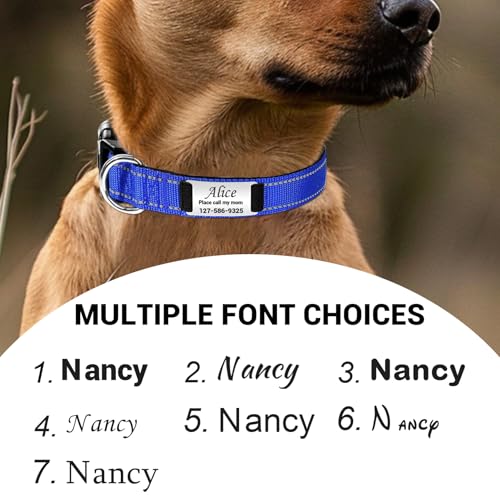 Hundehalsband Personalisiert mit Namen und Telefonnummer, Nylon Hundehalsband Leuchtend mit Gravur, Verstellbare Größen für Große Mittlere Hunde