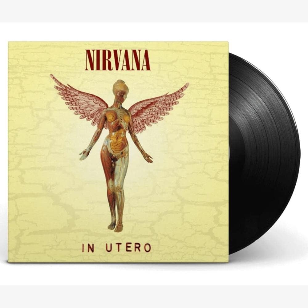 "Vinyl Style In Utero: R$ 216,98 🎶"