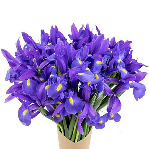 How to Keep Flower Bouquet Fresh Overnight Top Tips & Tricks