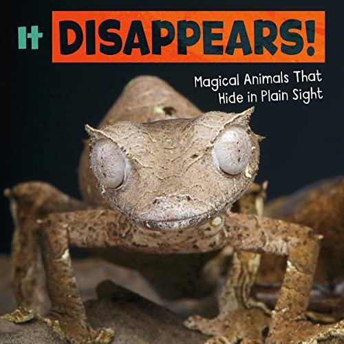 It Disappears! by Nikki Potts episode artwork