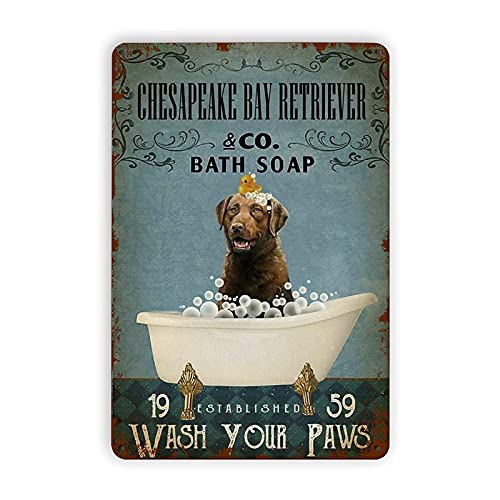 Targa in metallo vintage Chesapeake Bay Retriever Wash Your Pawsch, per esterni, pub, giardino, patio, casa, cortile, piscina, fattorie, decorazione artistica divertente da parete
