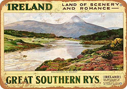 HiSign Irlande Signe de Mur en Étain Rétro Peinture De Fer Vintage Plaque en Métal Décoration Affiche pour Bar Café Magasin Accueil Cour