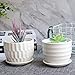 Brajttt Flower Pots, 4 Inch Cylinder Ceramic Plant Pots with Connected Saucer, Mini Ceramic Planters for Succulent and Little Snake Plants (6 Pack, White)