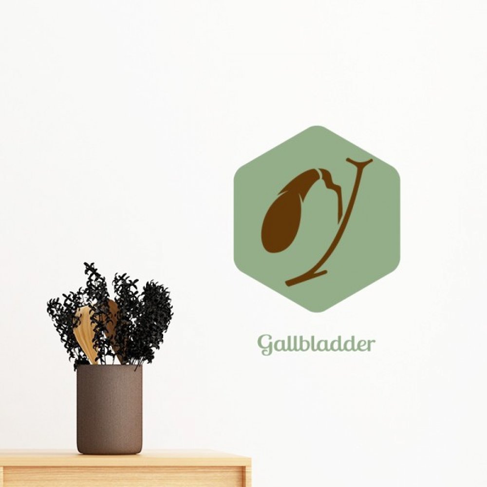 Sticker mural vésicule biliaire amovible 80cm pour relooker un mur sans abîmer la peinture