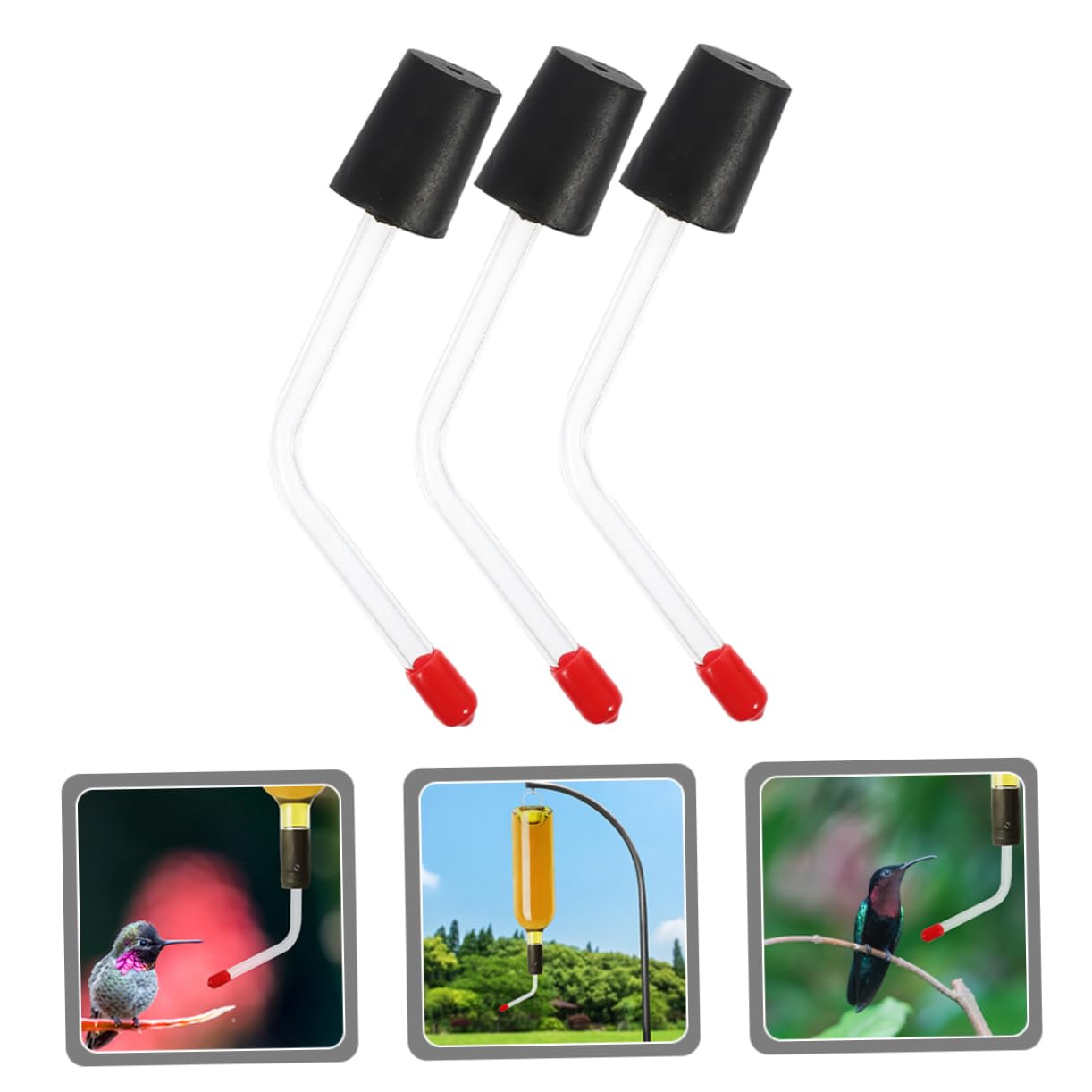 Toyvian 2 Set Mangiatoia Per Colibrì Tubi Di Alimentazione Potabile Mangiatoia Giornaliera Per Uccelli Mangiatoia Per Uccelli All'aperto Mangiatoie D'acqua Per Bicchiere 3 Pezzi*2