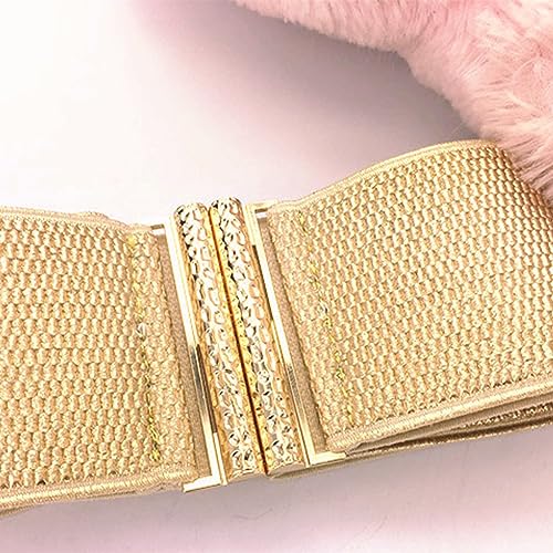 Women Elastic Waist Belt Shaping Girdle Belt Shimmering Gold Corset Wide Belt Lady Waistband Clothing Accessories4