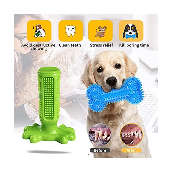 Dog Squeaky Toy for Puppy