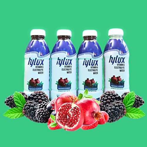 Hylux Pomegranate & Raspberry Bottle Water Case Of 12 - - Electrolyte Drinks With Crisp, Refreshing Taste - Fast Hydration Drink - Lightly Sweetened Antioxidant Drink With Fewer Calories Per Bottle #TOP3