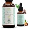صبغة HerbEra Herbal Cleanse العضوية الخالية من الكحول | تركيبة للتخلص من السموم والتطهير، مكمل مستخلص | عشبة الشيح العضوية، قشر الجوز الأسود، براعم زهرة القرنفل | مستخلص التطهير 2 أونصة